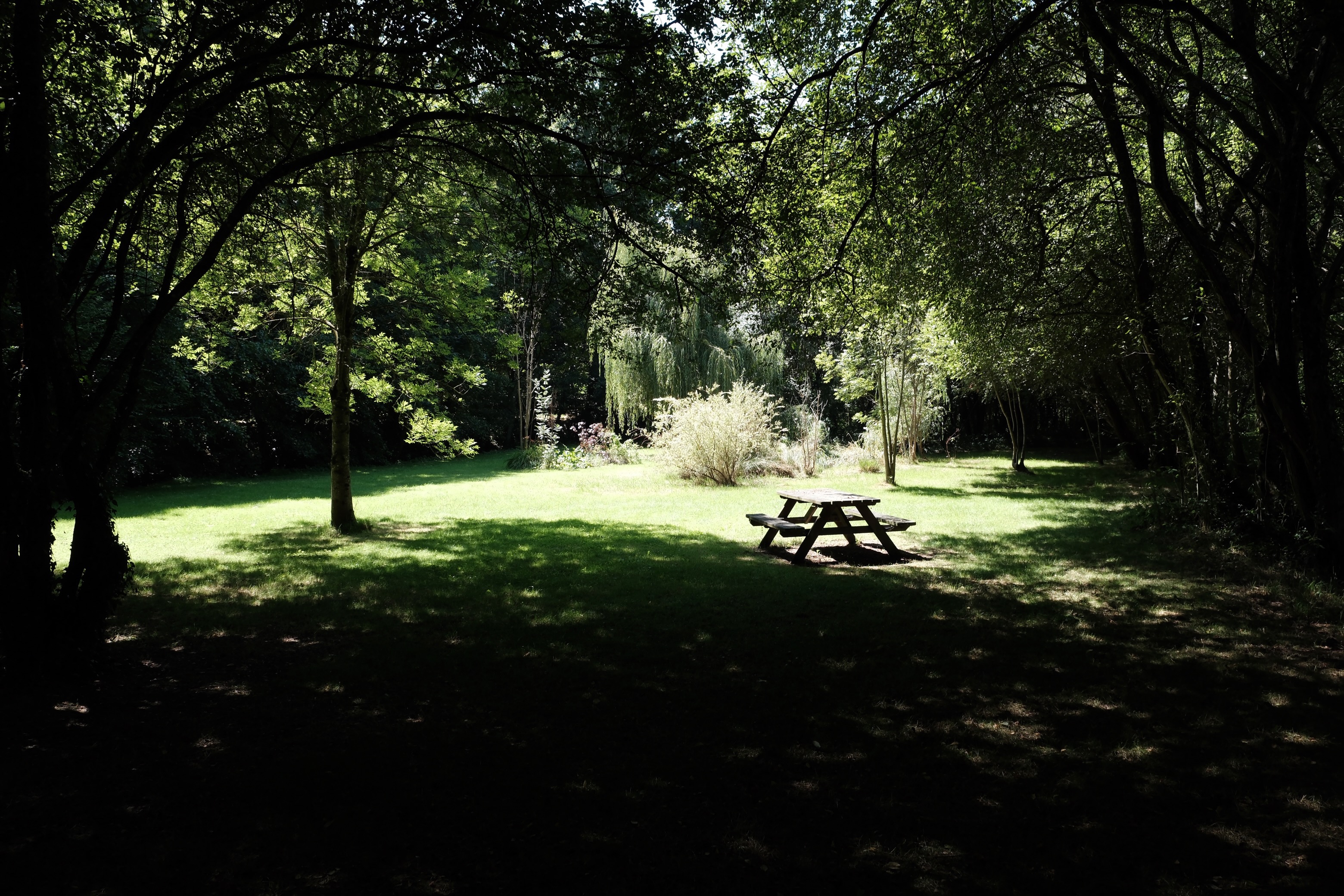 Picnic spot